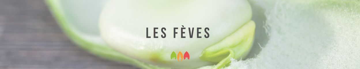 l'histoire des fèves